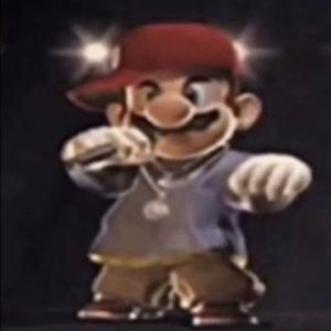 Meet your Posher, Elsie